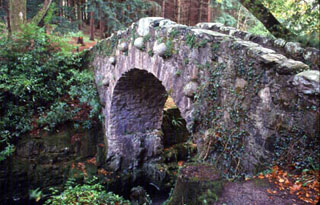 Tollymore Forest Park